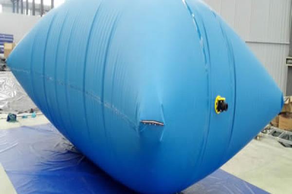 Ballooned Bladder